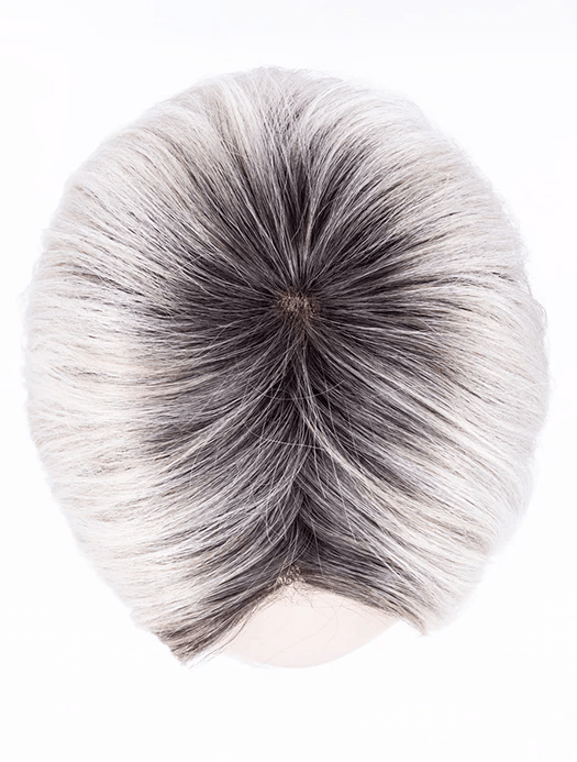 Amaze | Lace Front Mono Part Human/Synthetic Hair Blend Wig | Ellen Wille | Petite Average - Buy Wigs USA