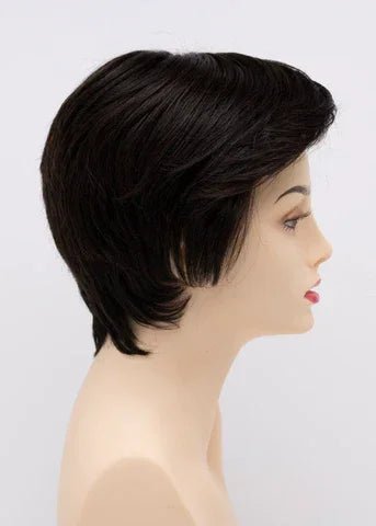 Paula Wig - Premium Human Hair Blend | Heat - Friendly Synthetic Wig by Envy - Image Maker Wigs Online
