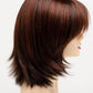 Amber | Ready - to - Wear Synthetic Wig | Lace Front Mono Top | Envy - Image Maker Wigs Online
