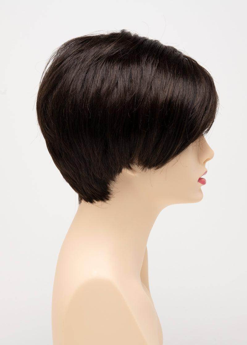AMY | Lace Front Monofilament Part Synthetic Wig | Envy Alan Eaton - Image Maker Wigs Online
