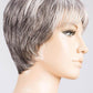 Aura | SALT/PEPPER-MIX | Hand-Tied Lace Front Synthetic Wig by Ellen Wille | Image Maker Wigs Online