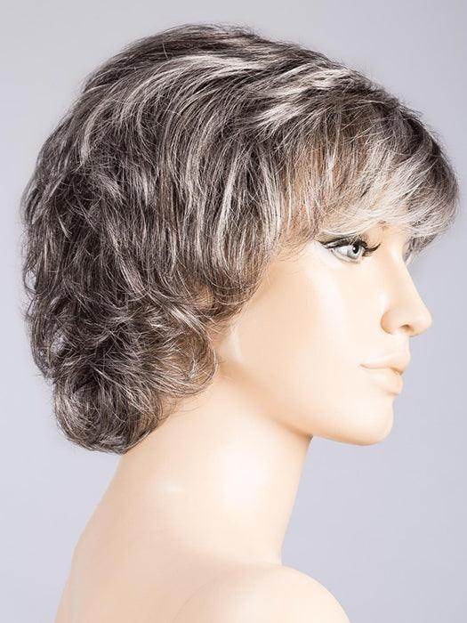 Daily | Hair Power | Synthetic Wig | Petite Average | Lace Front | Mono Crown | Ellen Wille - Image Maker Wigs Online
