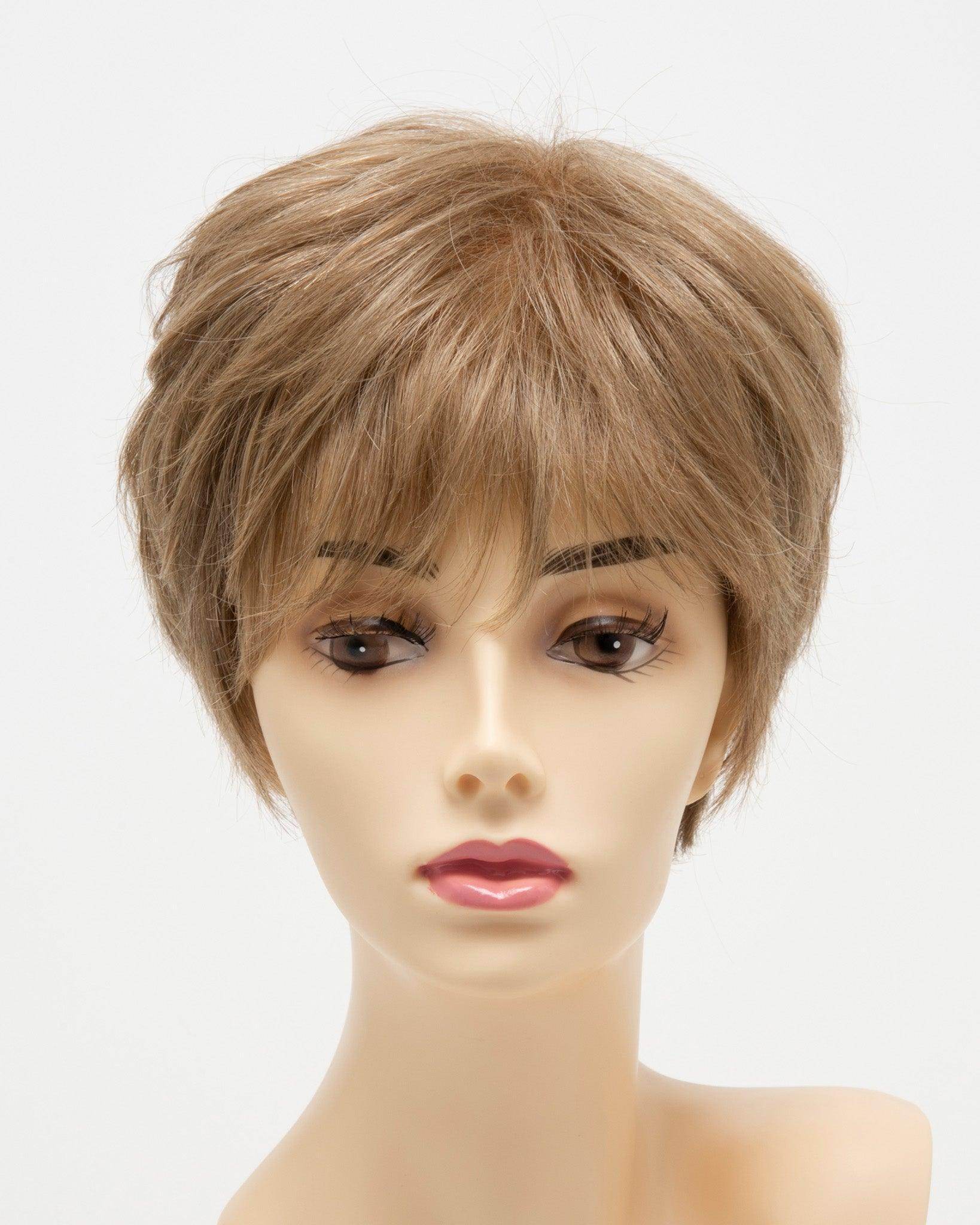 DESTINY | Human Synthetic Wig | Blended Hair | Mono Top | Lace Front | Hand - tied | Envy | Alan Eaton - Image Maker Wigs Online