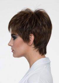 DESTINY | Human Synthetic Wig | Blended Hair | Mono Top | Lace Front | Hand - tied | Envy | Alan Eaton - Image Maker Wigs Online