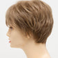 DESTINY | Human Synthetic Wig | Blended Hair | Mono Top | Lace Front | Hand - tied | Envy | Alan Eaton - Image Maker Wigs Online