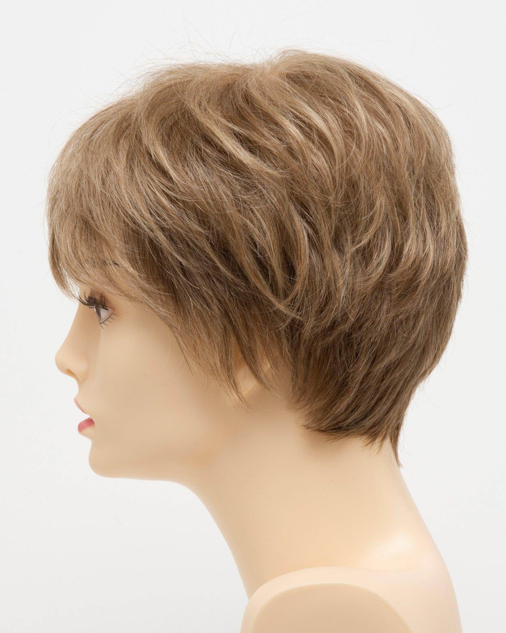DESTINY | Human Synthetic Wig | Blended Hair | Mono Top | Lace Front | Hand - tied | Envy | Alan Eaton - Image Maker Wigs Online
