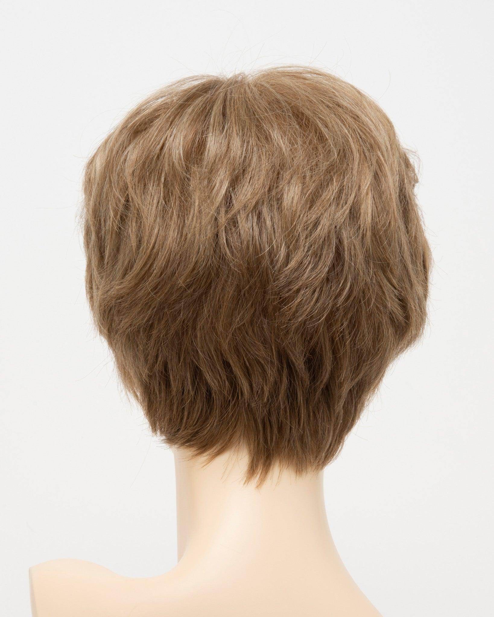 DESTINY | Human Synthetic Wig | Blended Hair | Mono Top | Lace Front | Hand - tied | Envy | Alan Eaton - Image Maker Wigs Online