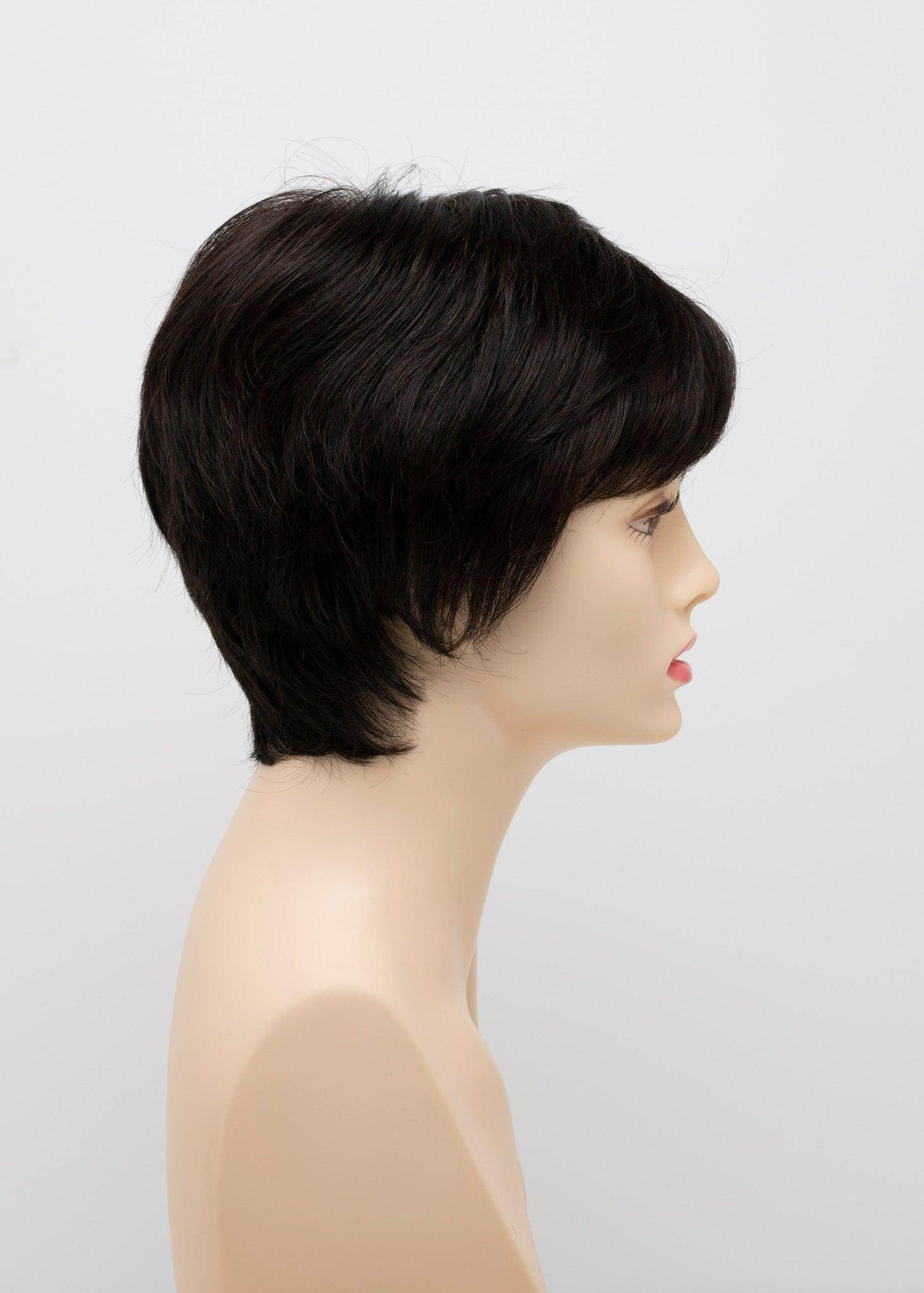 DESTINY | Human Synthetic Wig | Blended Hair | Mono Top | Lace Front | Hand - tied | Envy | Alan Eaton - Image Maker Wigs Online