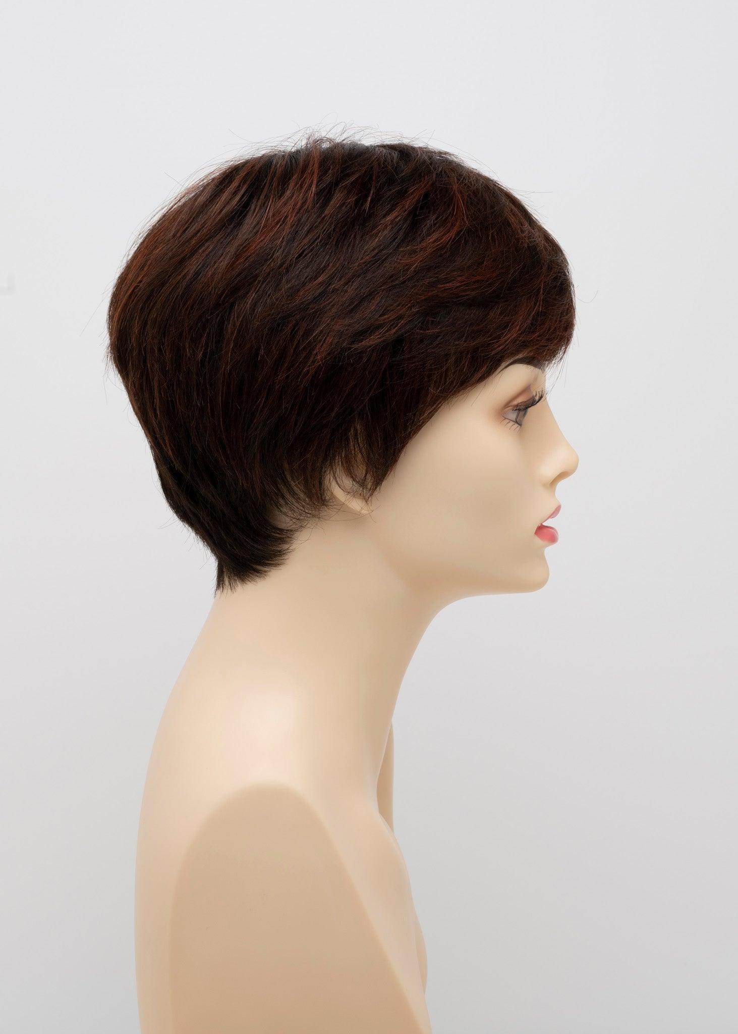 DESTINY | Human Synthetic Wig | Blended Hair | Mono Top | Lace Front | Hand - tied | Envy | Alan Eaton - Image Maker Wigs Online