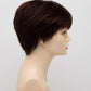 DESTINY | Human Synthetic Wig | Blended Hair | Mono Top | Lace Front | Hand - tied | Envy | Alan Eaton - Image Maker Wigs Online