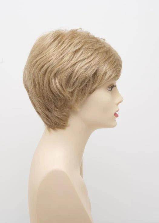 DESTINY | Human Synthetic Wig | Blended Hair | Mono Top | Lace Front | Hand - tied | Envy | Alan Eaton - Image Maker Wigs Online