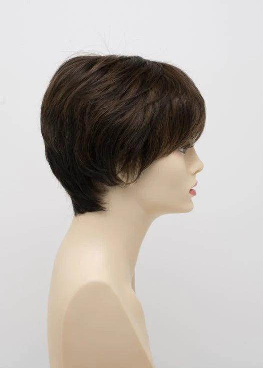 DESTINY | Human Synthetic Wig | Blended Hair | Mono Top | Lace Front | Hand - tied | Envy | Alan Eaton - Image Maker Wigs Online