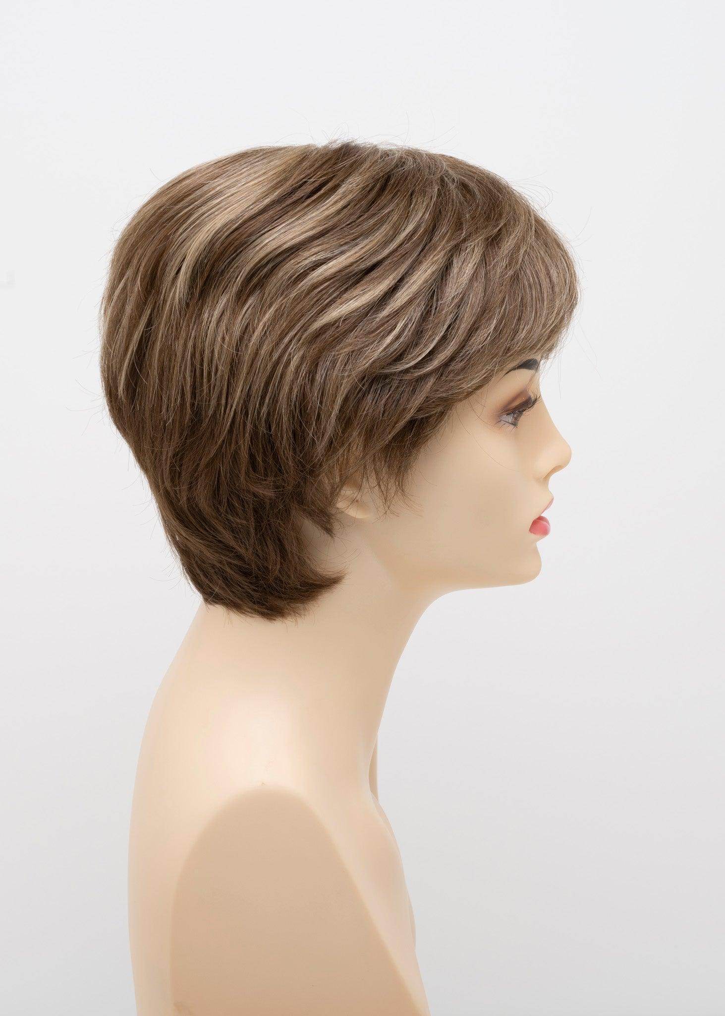 DESTINY | Human Synthetic Wig | Blended Hair | Mono Top | Lace Front | Hand - tied | Envy | Alan Eaton - Image Maker Wigs Online
