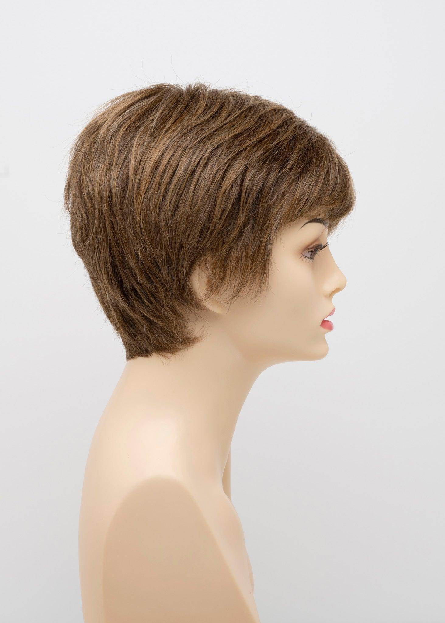 DESTINY | Human Synthetic Wig | Blended Hair | Mono Top | Lace Front | Hand - tied | Envy | Alan Eaton - Image Maker Wigs Online