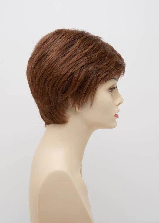 DESTINY | Human Synthetic Wig | Blended Hair | Mono Top | Lace Front | Hand - tied | Envy | Alan Eaton - Image Maker Wigs Online