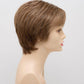 DESTINY | Human Synthetic Wig | Blended Hair | Mono Top | Lace Front | Hand - tied | Envy | Alan Eaton - Image Maker Wigs Online