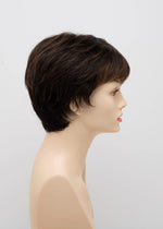 DESTINY | Human Synthetic Wig | Blended Hair | Mono Top | Lace Front | Hand - tied | Envy | Alan Eaton - Image Maker Wigs Online
