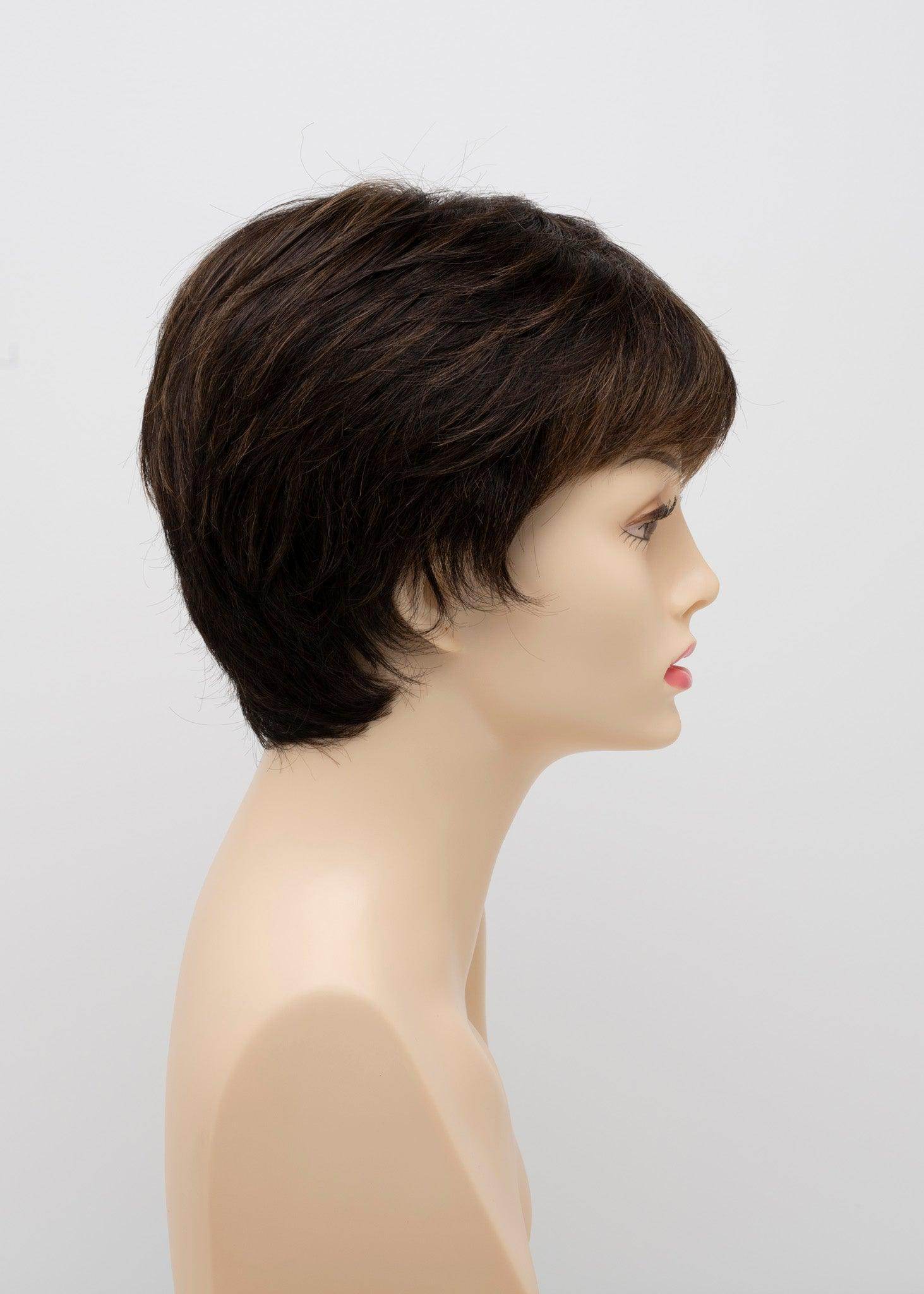 DESTINY | Human Synthetic Wig | Blended Hair | Mono Top | Lace Front | Hand - tied | Envy | Alan Eaton - Image Maker Wigs Online