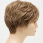 DESTINY | Human Synthetic Wig | Blended Hair | Mono Top | Lace Front | Hand - tied | Envy | Alan Eaton - Image Maker Wigs Online