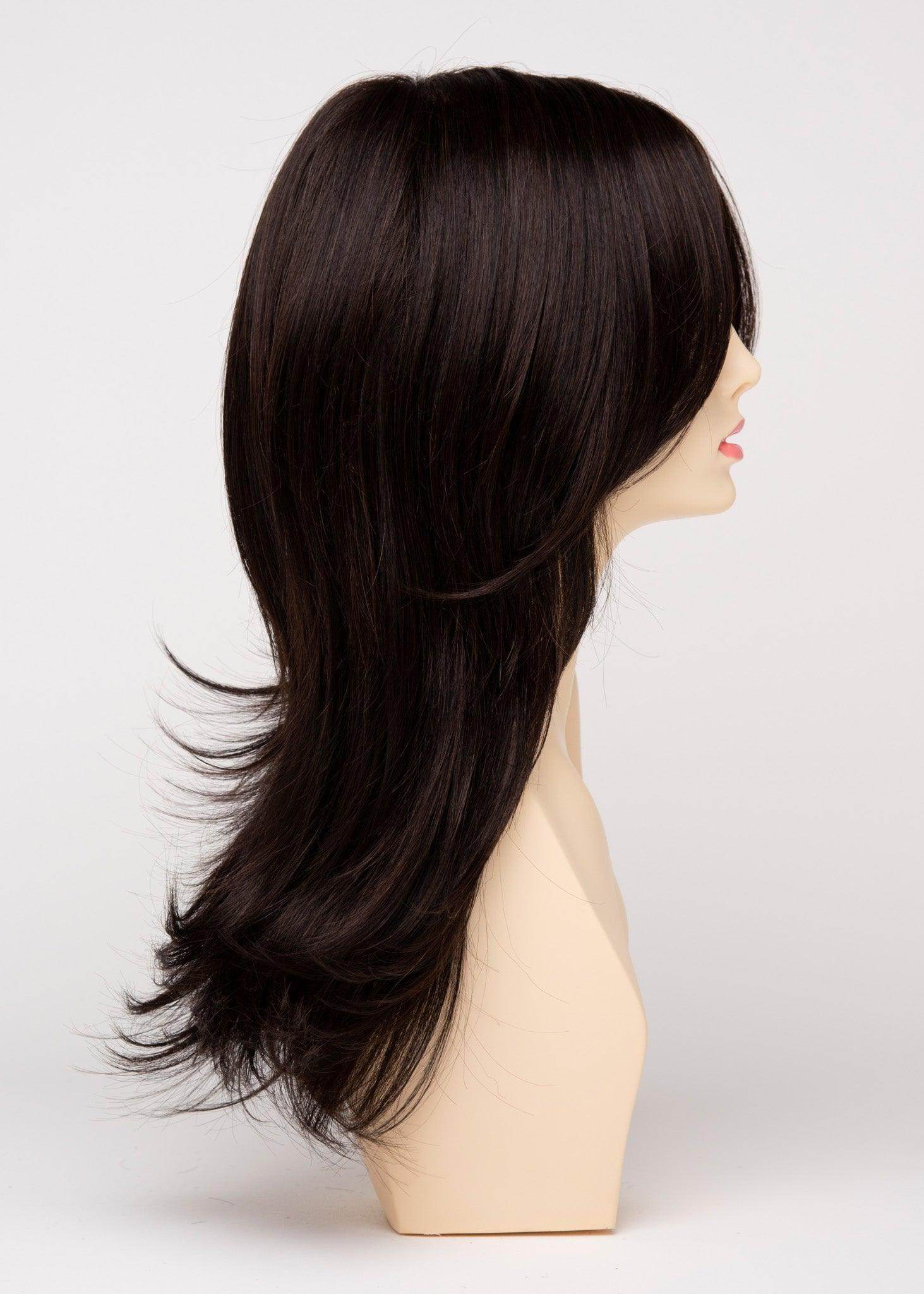 Erica | EnvyHair | Human Synthetic Blended | Lace Front | Long Wig | Envy | Alan Eaton - Image Maker Wigs Online