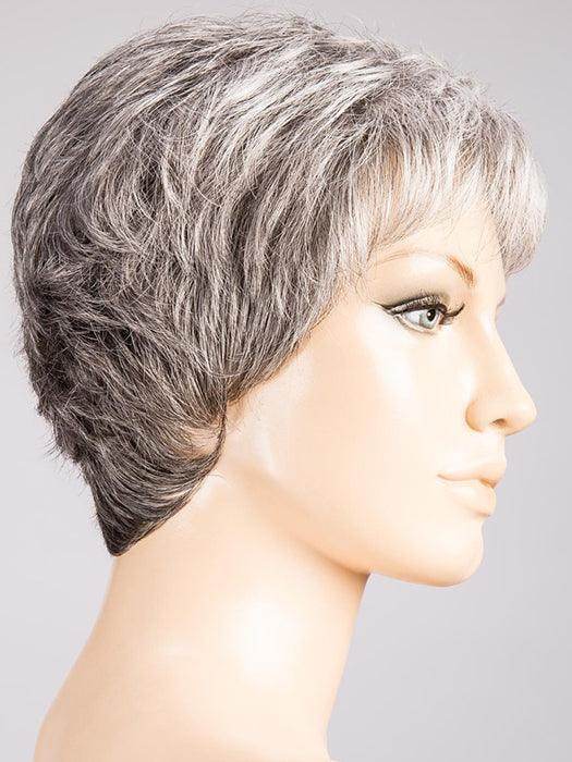Foxy | Hair Power | Synthetic Wig | Ellen Wille - Image Maker Wigs Online