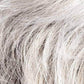 Rica | Modixx Collection | Synthetic Wig | Ellen Wille - Image Maker Wigs Online