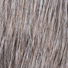 Roger 5 Stars | HAIRforMANce | Men's Synthetic Wig | Ellen Wille - M38S
