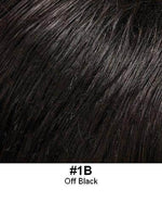 STYLE 600 - S Wig Lady Diana, Illusion front hairline Look of Love - Image Maker Wigs Online